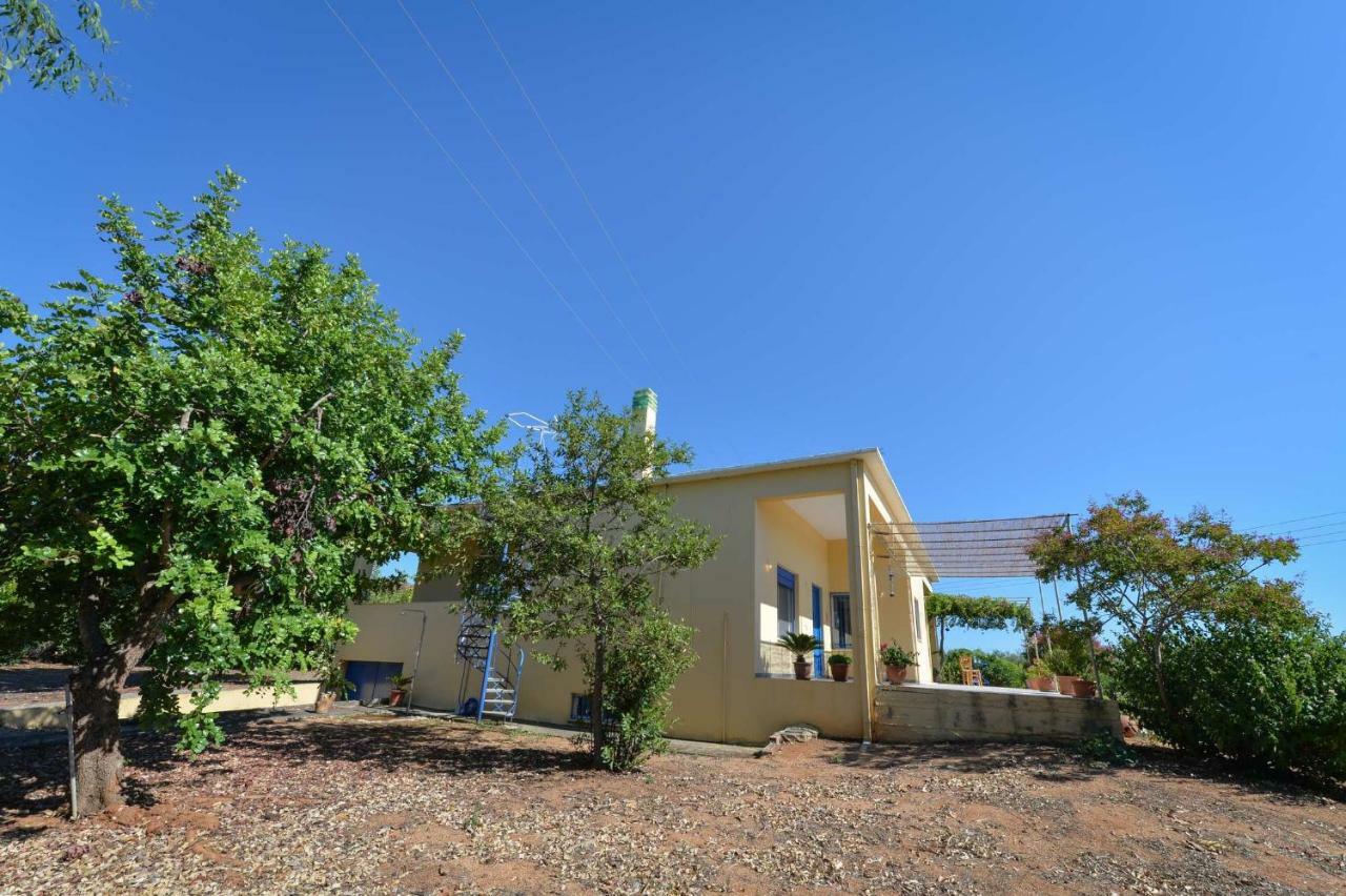 Santa Domenica Summer House Agia Kiriaki  Bagian luar foto